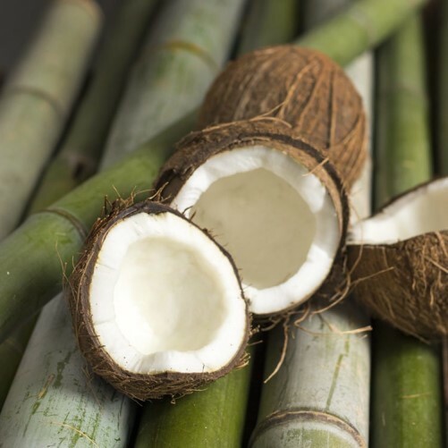 MCT Coconut Oil | 16floz to 32floz | 100% Pure Natural Hand Crafted