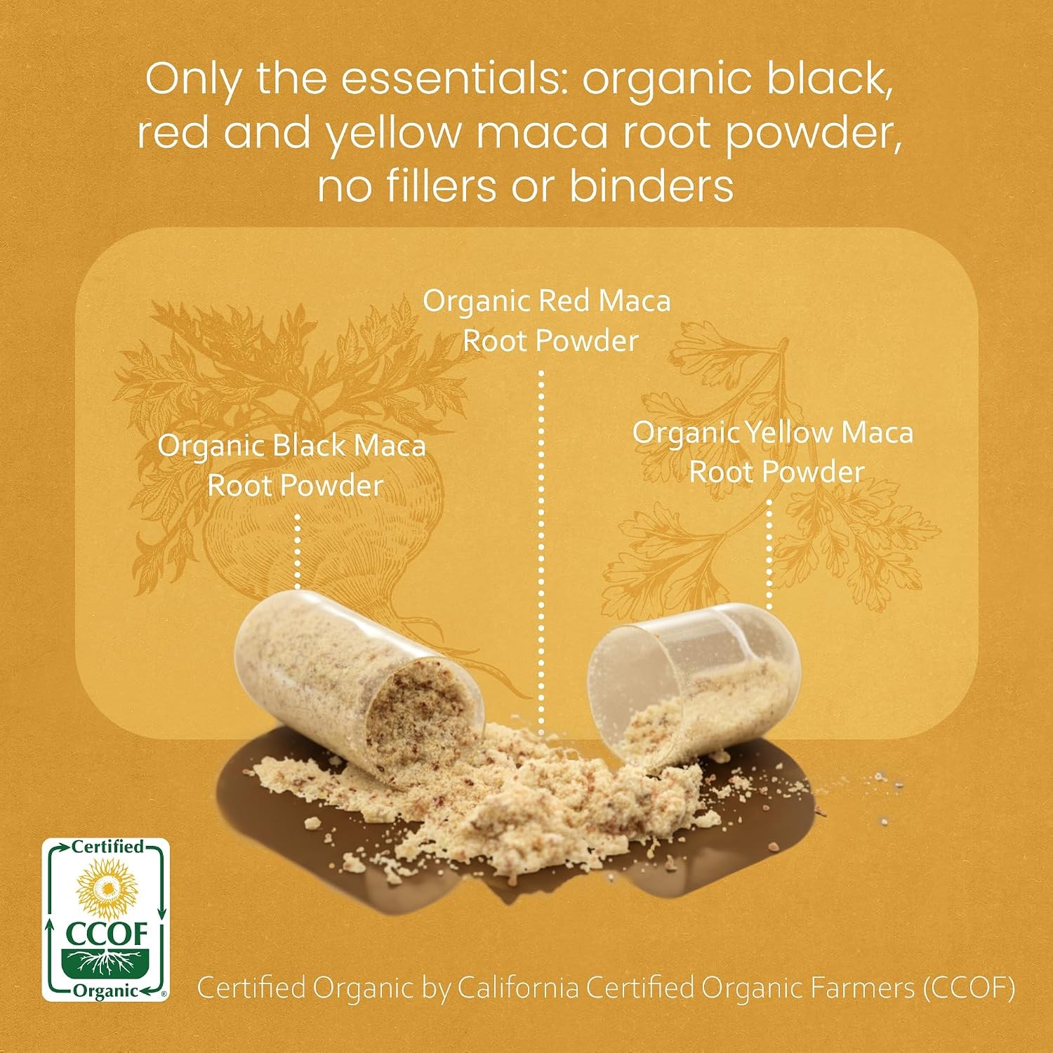 NaturaLife Labs Organic Maca Root – Black, Red & Yellow – 1900 mg per Serving –