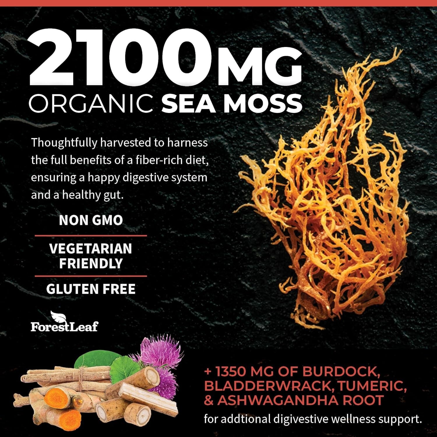 2 PACK ForestLeaf Organic Sea Moss Bladderwrack Burdock Root 180 Veg Cap USAMADE