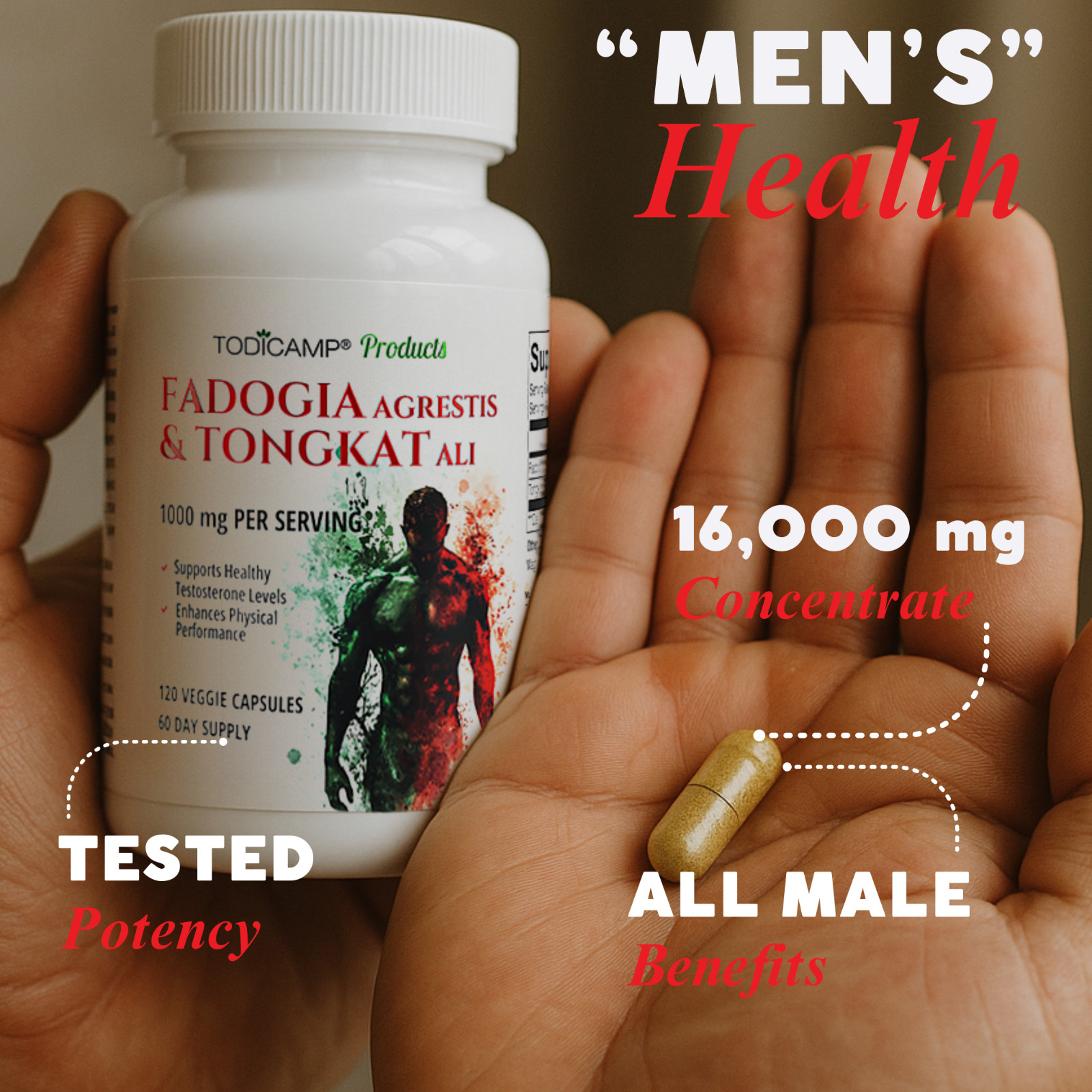 Fadogia Agrestis Tongkat Longjack Complex 1000mg by TODICAMP – 120 Capsules