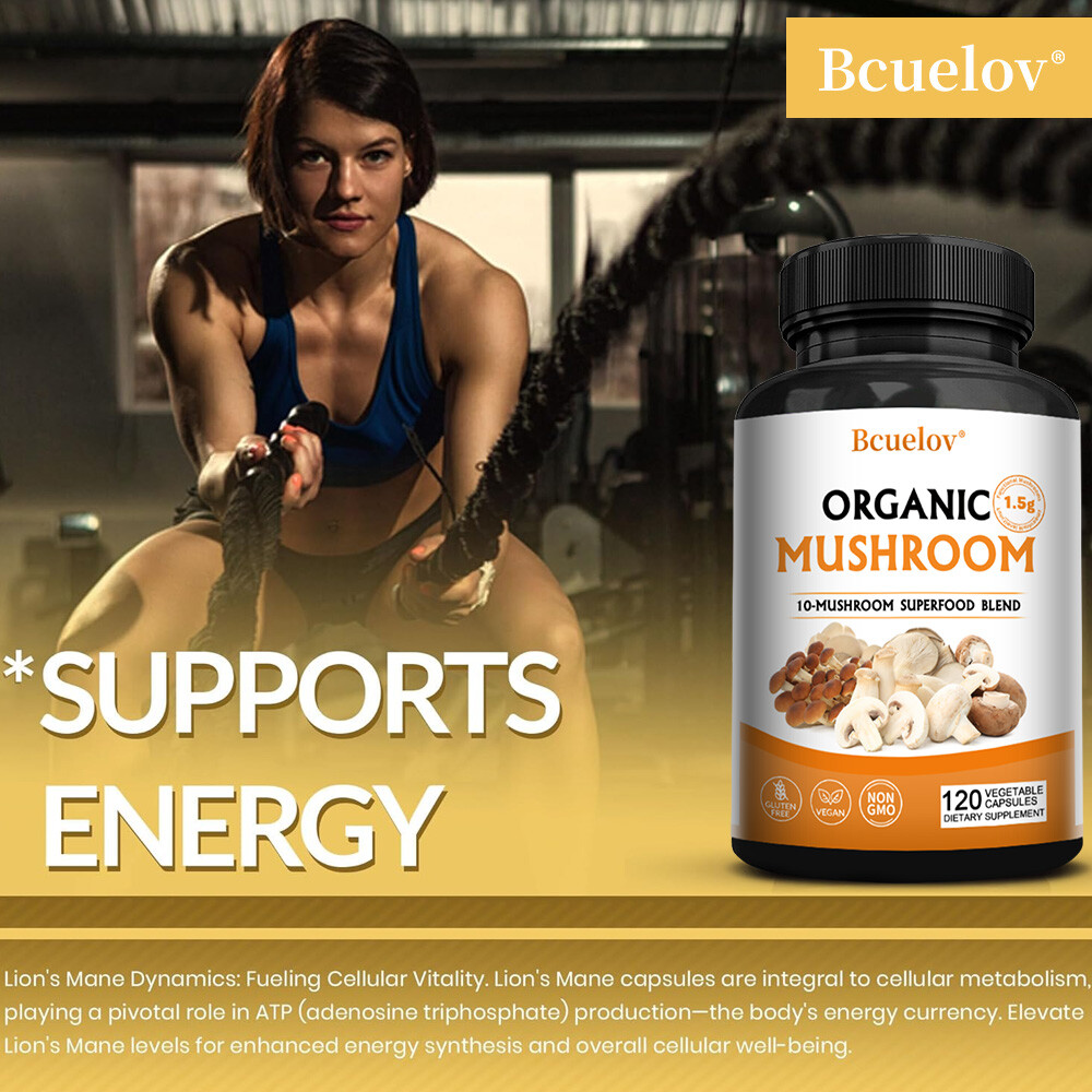 Organic Mushroom Capsules – Improve Brain Function – Immune Nervous System
