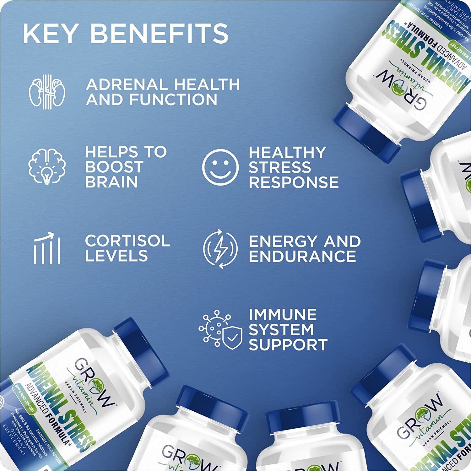 ADRENAL STRESS Ashwagandha ZenWell LiveWell Cognitive Brain Health 90 COUNT