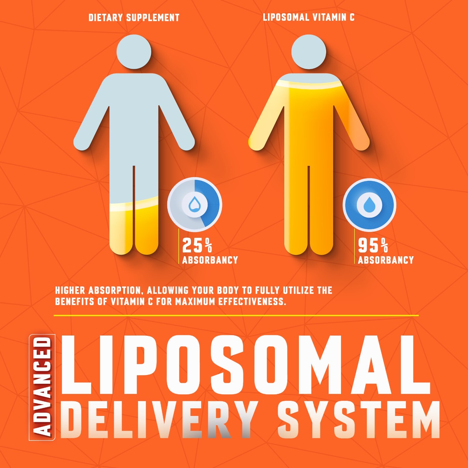 Liposomal Vitamin C Liquid – High Absorption Immune Support & Antioxidant Boost