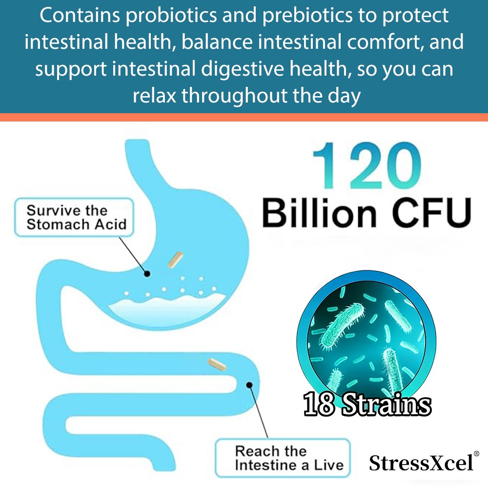 Probiotics 120 Billion CFUs 18 Strains 3 Prebiotics Digestive Enzymes For Unisex