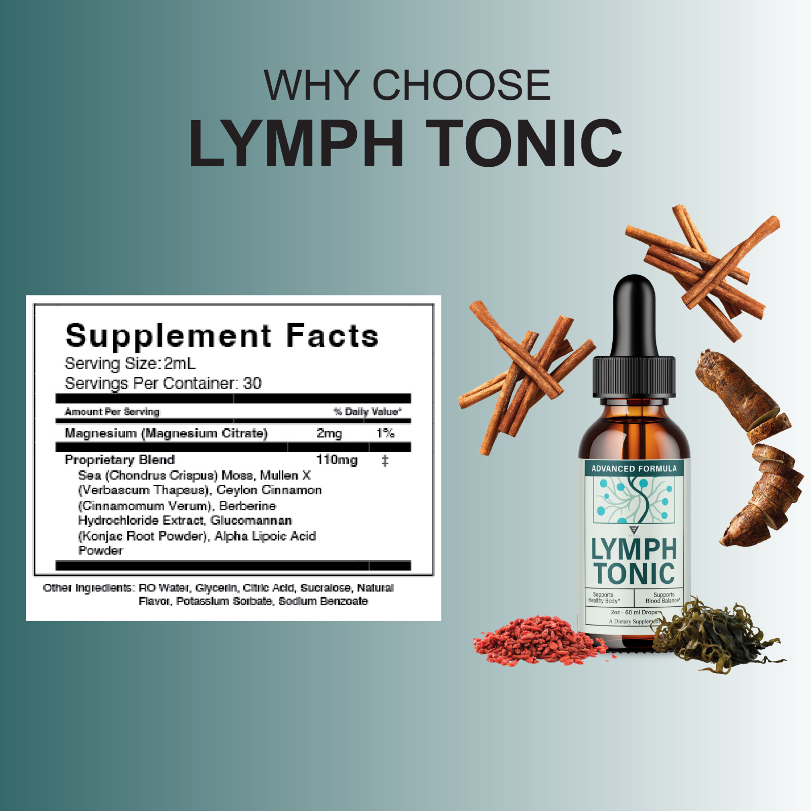 (3 Pack) Lymph Tonic Blood Support Drops, Lymphtonic Supplement (6 oz)