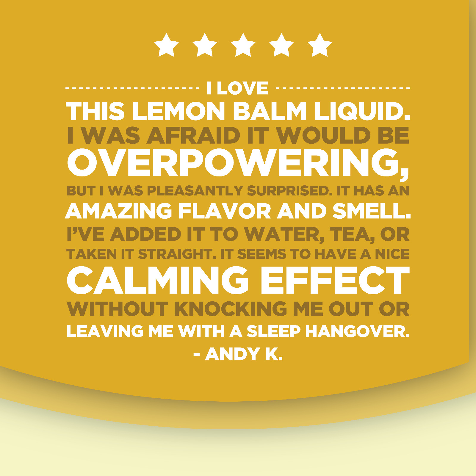 Lemon Balm Extract for Mood Support – Organic Lemon Balm Tincture for Immunity