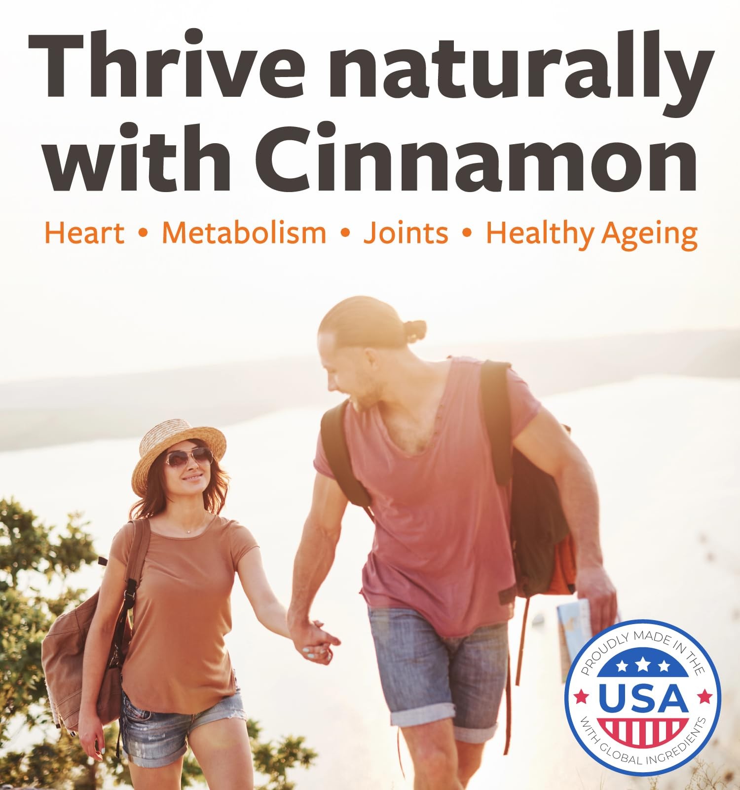 USDA Organic Ceylon Cinnamon Pills – High Potency 120 Count (Pack of 1)
