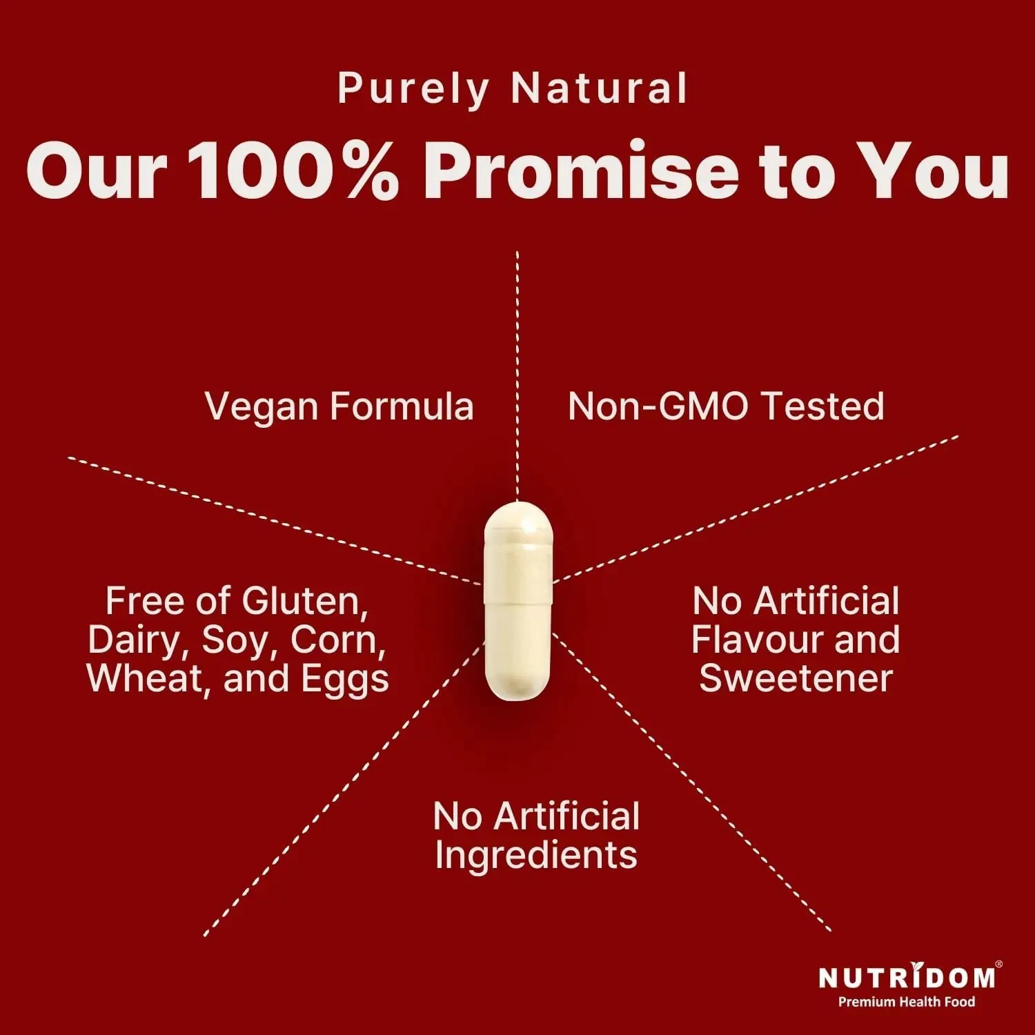 Nutridom Korean Red Ginseng 500mg 8% Ginsenosides Panax Extract 60 Vcaps Energy