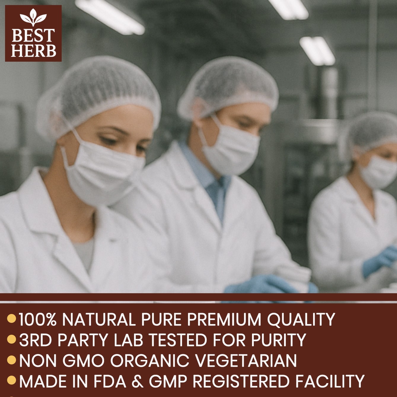 Pure Reishi Mushroom Natural Supplement Organic Pills Immune Health Max Support