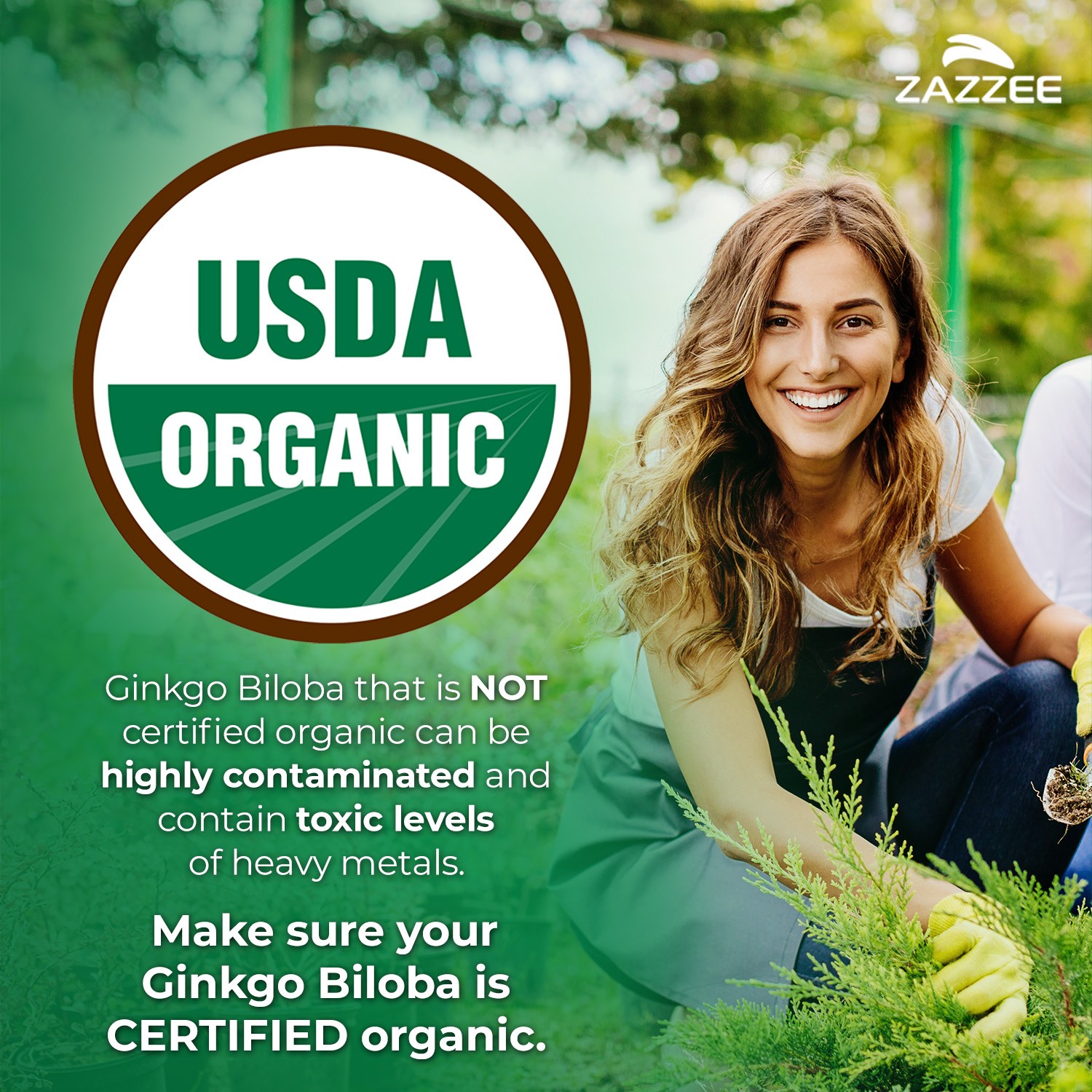 Zazzee USDA Organic Ginkgo Biloba Capsules