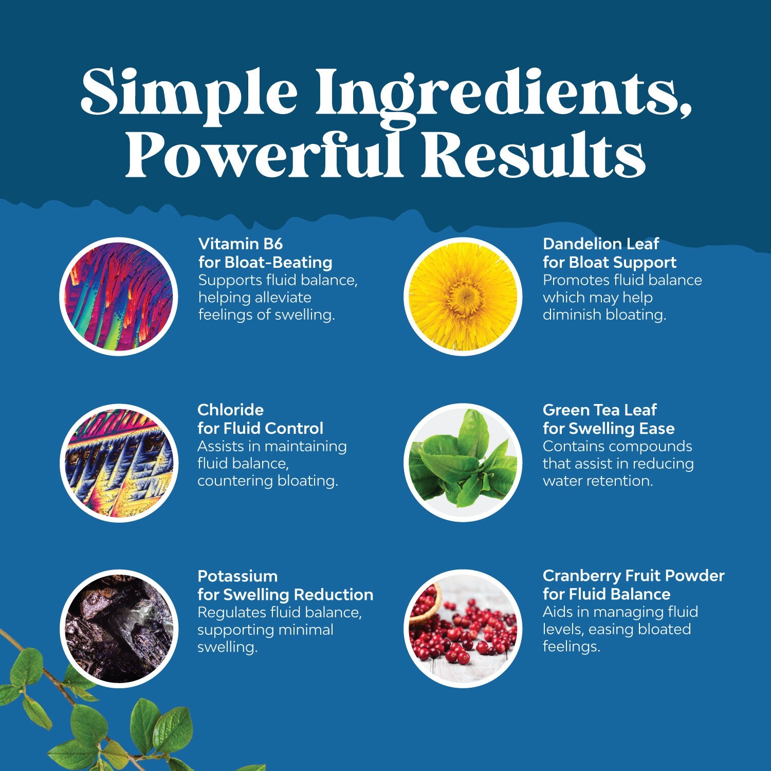 Water Away Pills Maximum Strength – Herbal Diuretic Pills for Water Retention